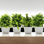 Tree Window Sill Office Table Desktop Decoration Plastic Garden Fake Plant